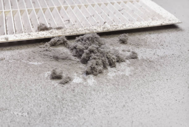 Best Commercial HVAC Duct Cleaning  in Rossvle, IL
