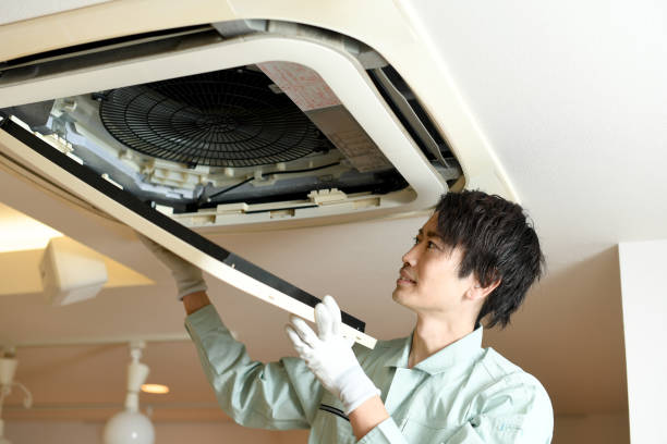 Best Local Air Duct Cleaning Services  in Rossvle, IL