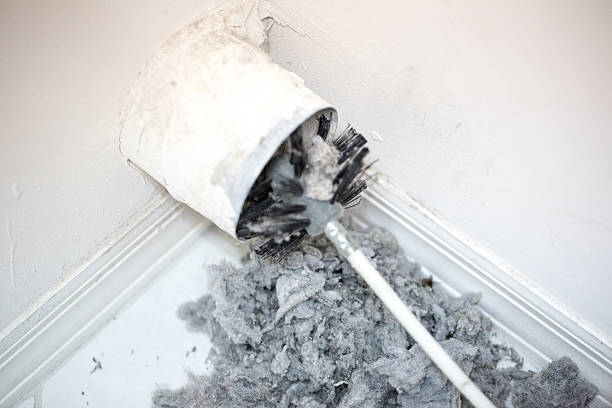 Best Professional Duct Cleaning Services  in Rossvle, IL